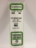 HO-Strip 6 x 8  (10)