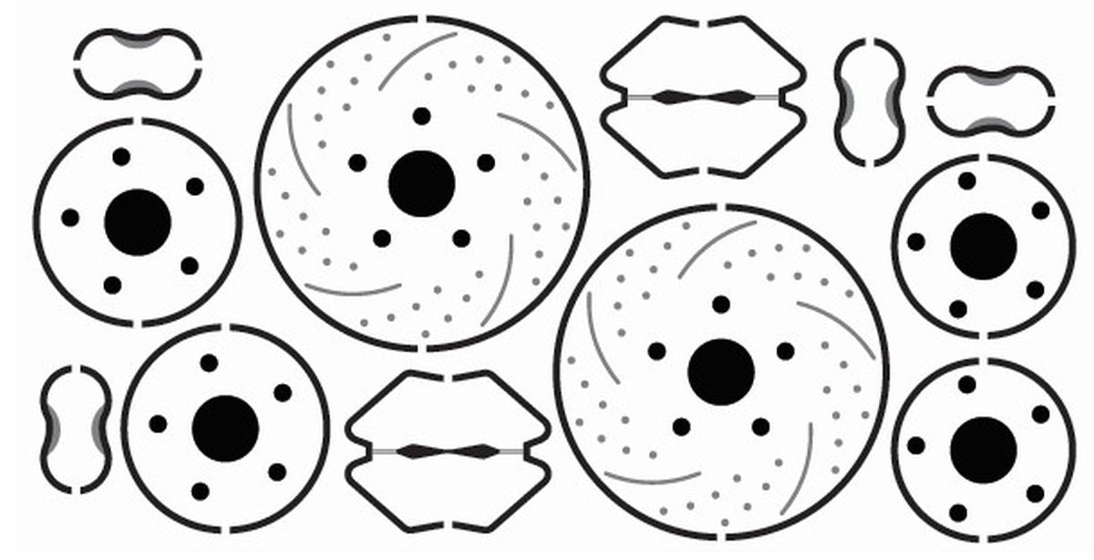 15'' Diameter Disk Brakes 2 Sets