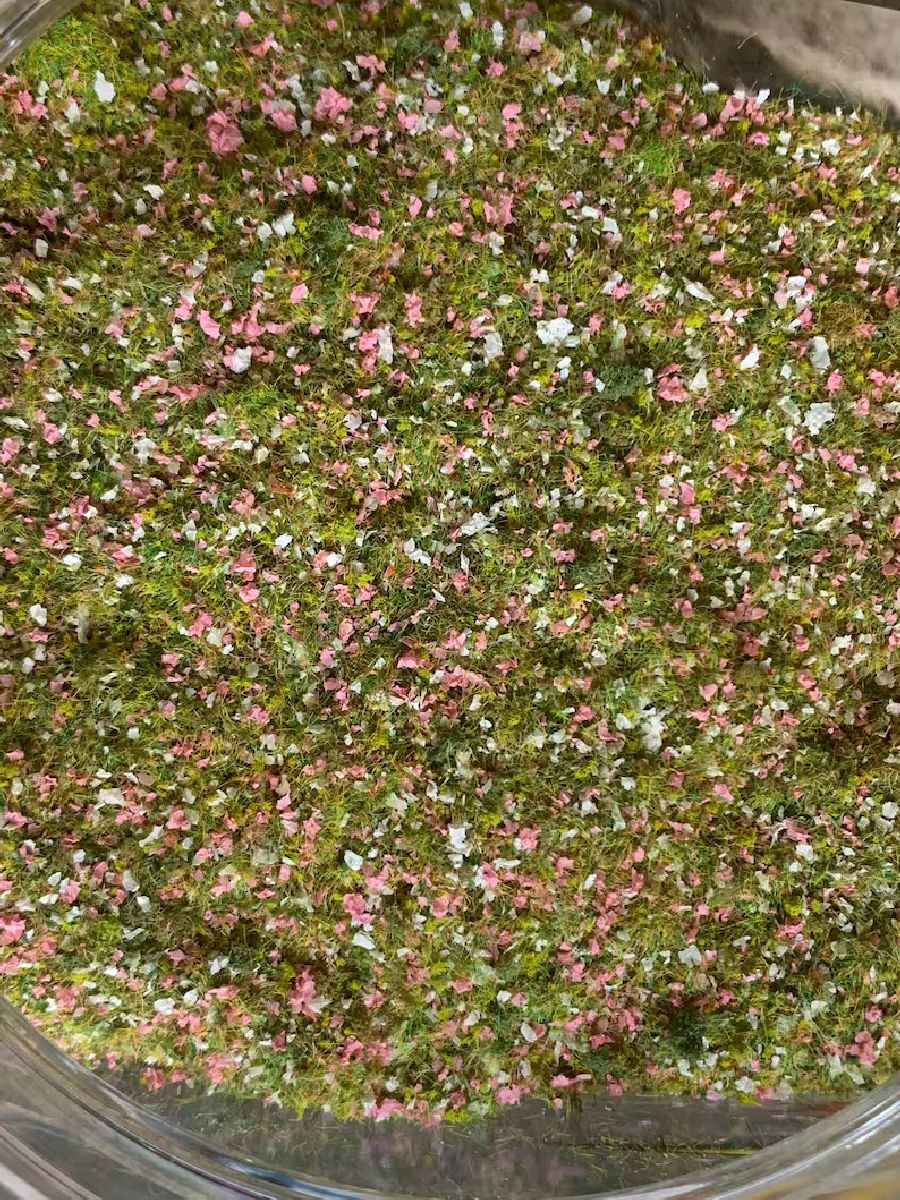 Sakura Spring 2oz. Jar