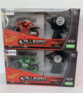 RC Mini Motorcycle