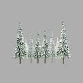 TARIFF N Snow Spruce 2''-4'' Scenic/36pk