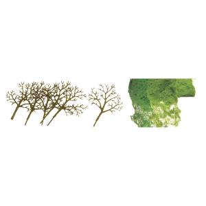 N Deciduous 1.5''-3'' Premium Kit/30pk