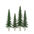 TARIFF HO Spruce 4''-6'' Scenic/24pk