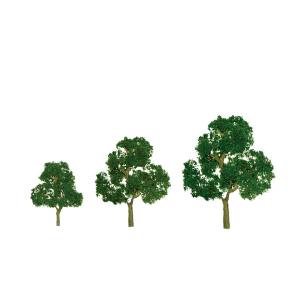 O Deciduous 5.5'' Premium/1pk