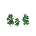 TARIFF O Sycamore 6'' Premium/1pk