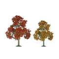 O Deciduous Autumn 5.5''-6'' Scenic/2pk