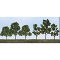 N/HO Bulk Deciduous 2.5'' -4.5''