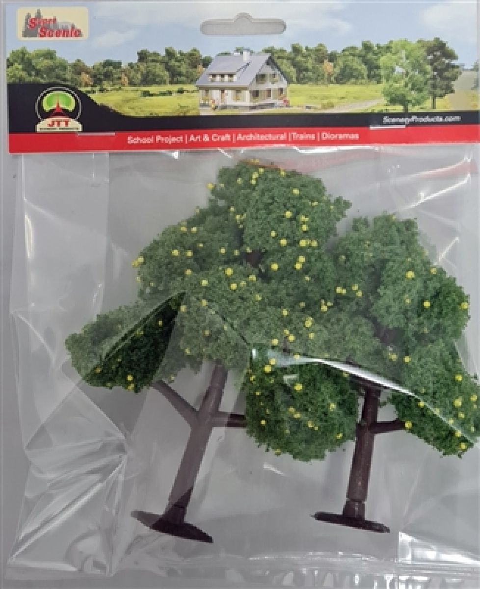 Lemon Tree Grove 4-1/2'' to 5'' tall 2/pk
