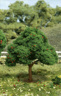 TARIFF Apple Trees 2.5-3.5'' 6pk