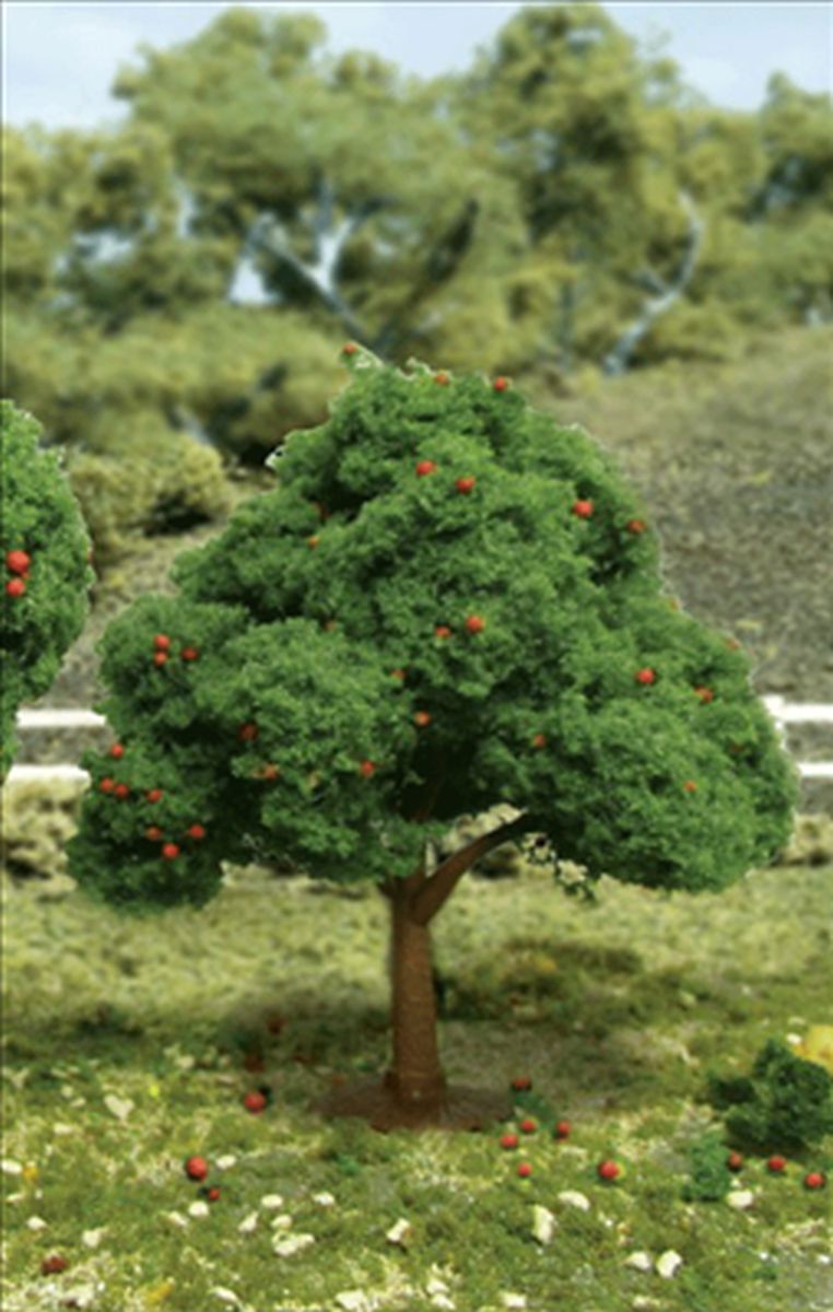 TARIFF Apple Trees 2.5-3.5'' 6pk