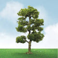 TARIFF Downy Birch 3.5''-4'' Pro-Elite/2pk