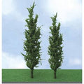 TARIFF Poplar5''-6'' Elite  3/pk