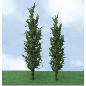 TARIFF Poplar5''-6'' Elite  3/pk