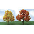 TARIFF Deciduous Autumn    3-3.5'' Elite Ho 2/pk