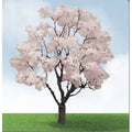 TARIFF Cherry Blossom 3''-3.5'' Pro-Elite/2pk