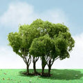 TARIFF Privet 5'' Elite    1/pk
