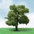 TARIFF O Sycamore 8'' Pro-Elite/1pk Rplaces 96035