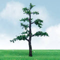TARIFF Old Pine 8'' Elite  1/pk