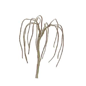 Weeping Willow 2.5''pro Armature 4/pk