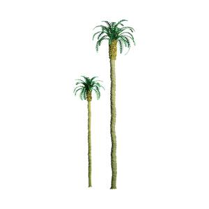 Palm 2.5'' Pro/4pk