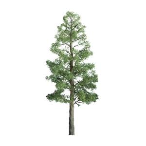 TARIFF Pine 4'' Pro/2pk