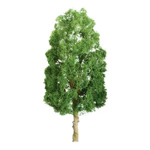 Sycamore 1.5'' Pro/6pk
