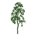 Birch 1.5'' Pro/6pk
