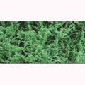 TARIFF Fiber Cluster/Dark Green-Coarse Pack/150si
