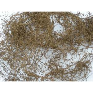 TARIFF Dry Vines/Dead Foliage/10g