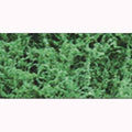 Fiber Cluster/Dark Green-Fine Pack/150si