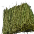 Field Grass/Light Green Bag/15g