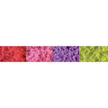 Turf/Red  Pink  Purple  Yellow-Medium Bags/10ci