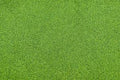 TARIFF Grass Mat 50'' X 100'' Light Green