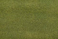 Grass Mat 50'' X 100'' Moss Green