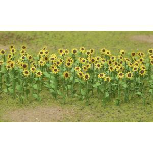 TARIFF HO Sunflowers 1''/16pk