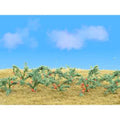 TARIFF O Tomatoes 1-1/2''/12pk