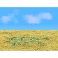 TARIFF O Ferns 1''/9pk