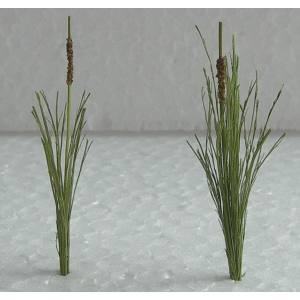 TARIFF O Cattails 1-1/2''/24pk