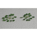 TARIFF HO Lily Pads 3/4''/12pk