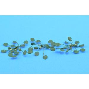 TARIFF O Lily Pads 1-1/2''/9pk