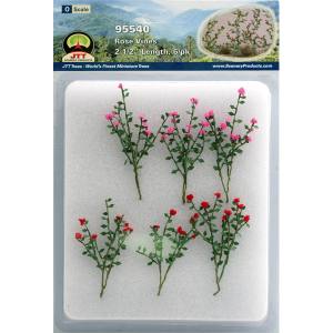 TARIFF O Rose Bushes 2-1/2''/6pk