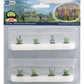 TARIFF HO Lupines 1/2''/8pk
