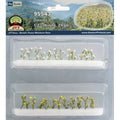TARIFF HO Daisies 1/2''/24pk