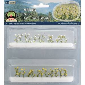 TARIFF HO Daisies 1/2''/24pk