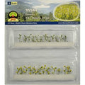 TARIFF O Daisies 7/8''/24pk