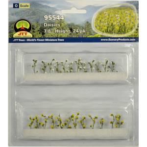 TARIFF O Daisies 7/8''/24pk