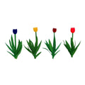 TARIFF O Tulips 1'' Variety Color Assortment/36pk Replaces 9
