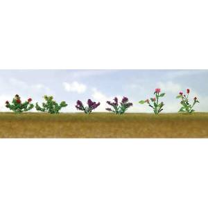 TARIFF O Flower Plants Assortment #1/10pk