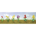 TARIFF O Flower Plants Assortment #2/10pk