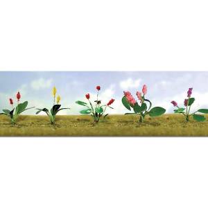 O Flower Plants Assortment #3/10pk